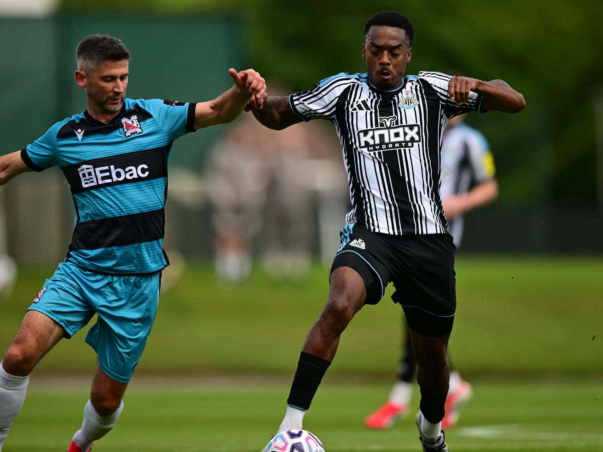 willock