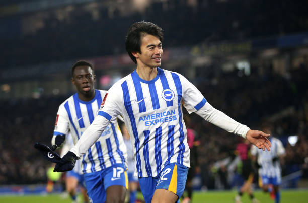 brighton fc